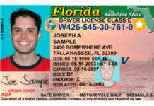 Cómo tramitar la identificación Real ID en Orlando: Requisitos y costos Cómo tramitar la identificación Real ID en Orlando Requisitos y costos