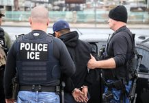 Mayoría de municipios en el sur de la Florida rechaza convenios de capacitación policial con ICE