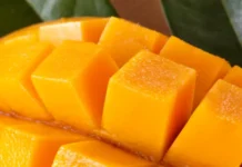 Alimentación y cuidado cutáneo: el impacto de la dieta en la salud y el envejecimiento de la piel